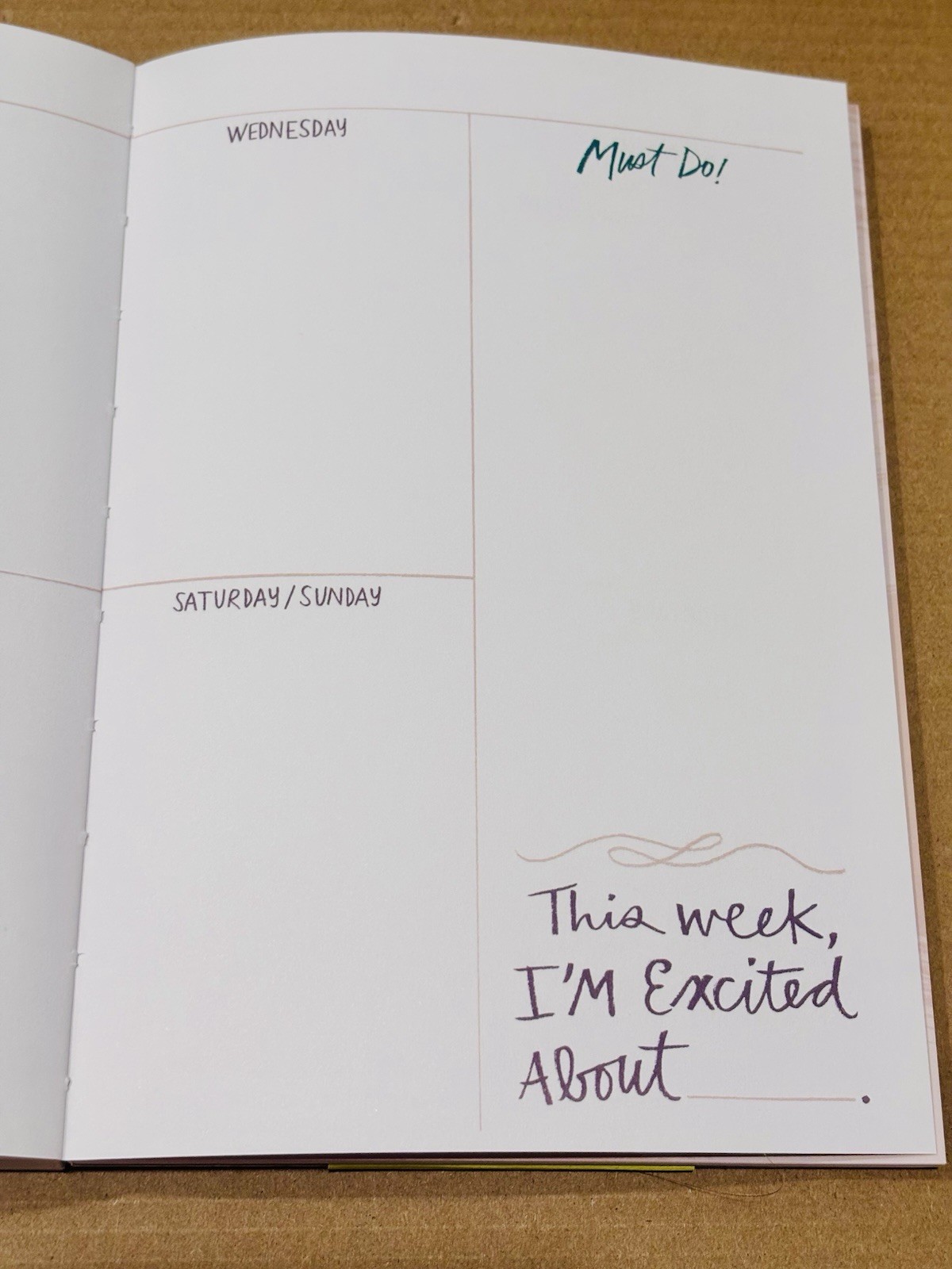 12 Month Undated Planner Today’s Going to be a FILL in the BLANKS Day Stickers