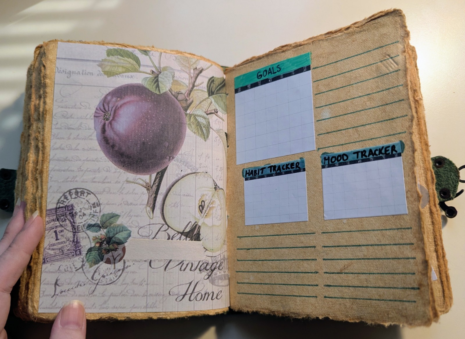 Undated 15 Month Planner Journal In Nature Green Floral Unique