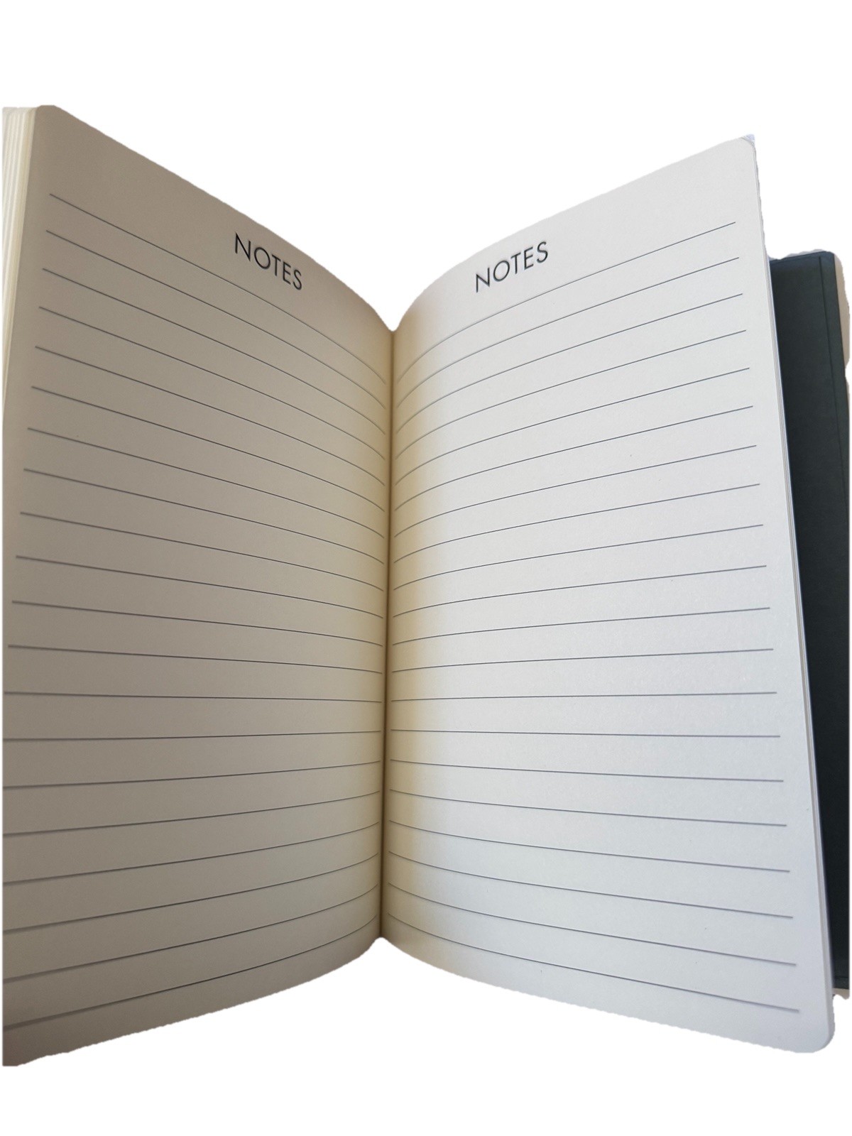 Lady Jayne Monthly & Weekly Planner 12 Months Jan-Dec 2026 Monthly, Weekly 8×6”
