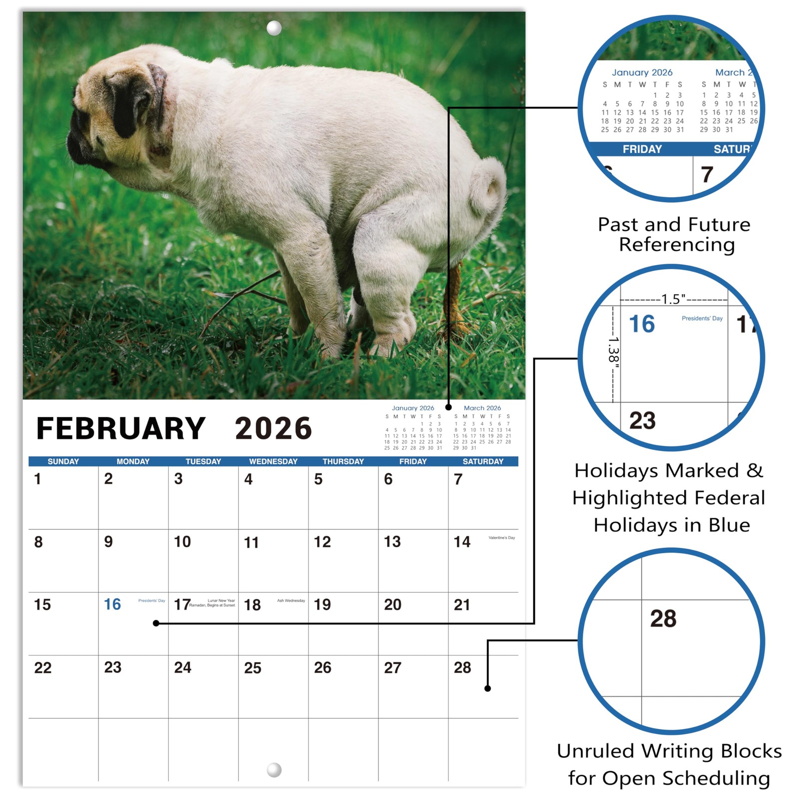 2026 Funny Calendar – Gag Gifts, Dogs Pooping Calendar 2026, 11″ x 17″ (Open), J