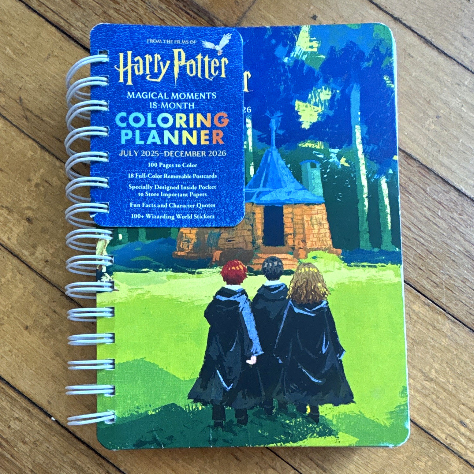 Thunder Bay Press Harry Potter Magical Moments Weekly/Monthly Planner 2025-2026