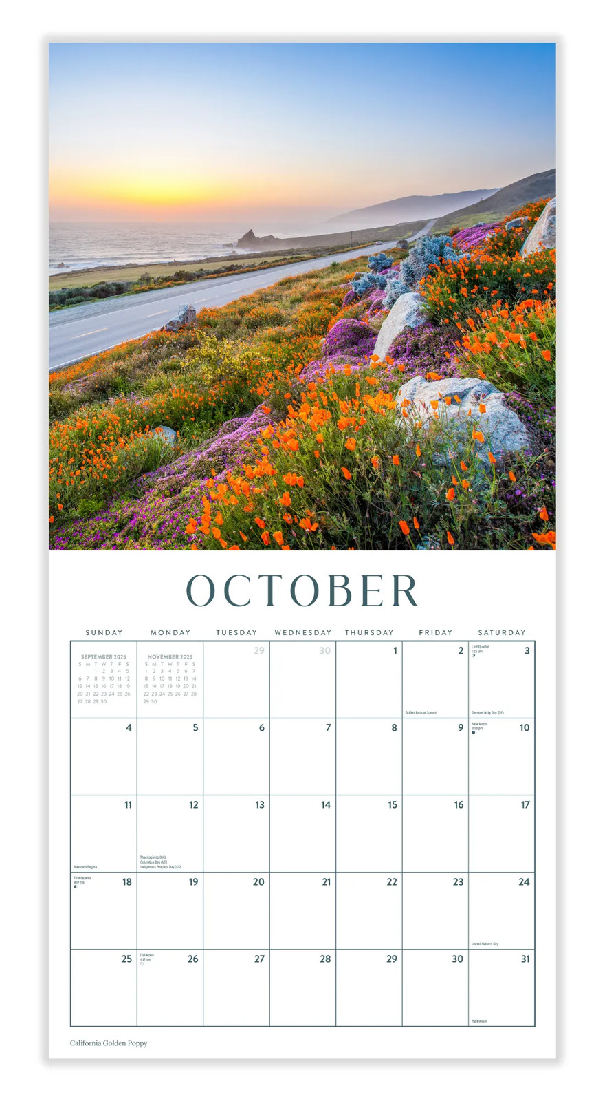 Wildflowers Calendar 2026 | 12″ x 24″ 12 Month Calendar | Marble City Press