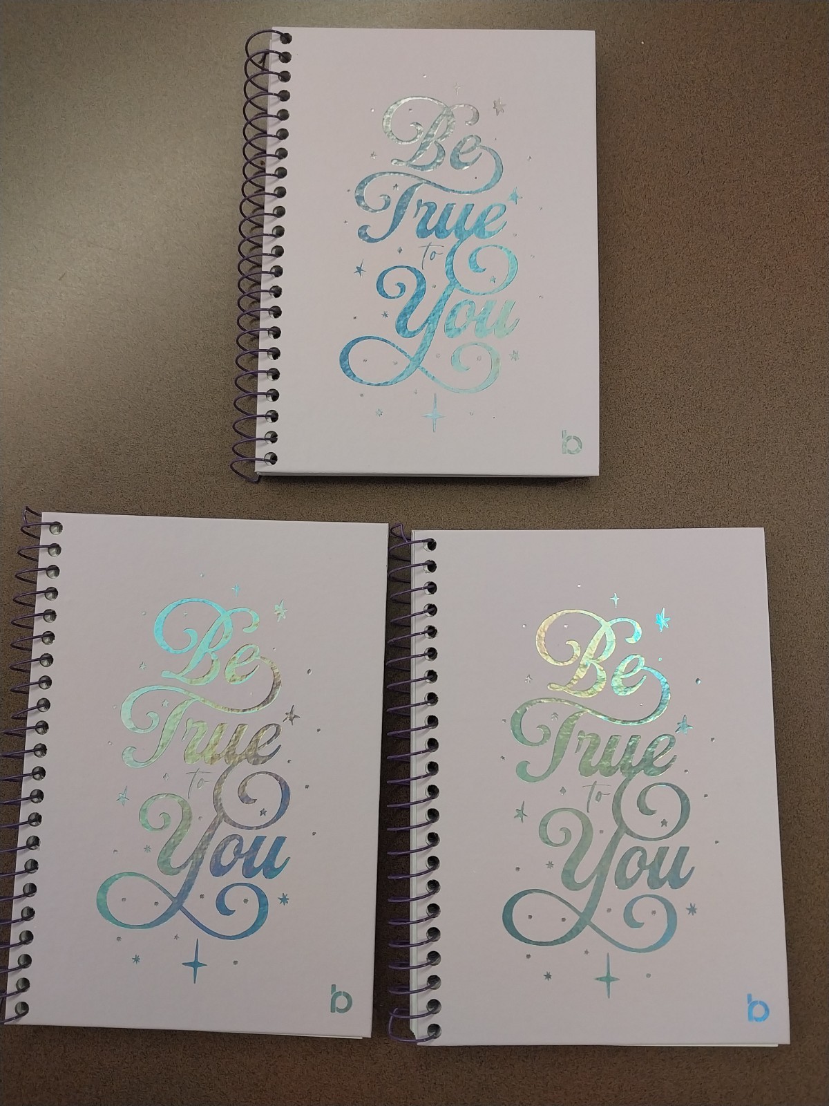 Be Rooted Journal Set of 3 Be True to You 80 Sheets Each Hard Cover Lined