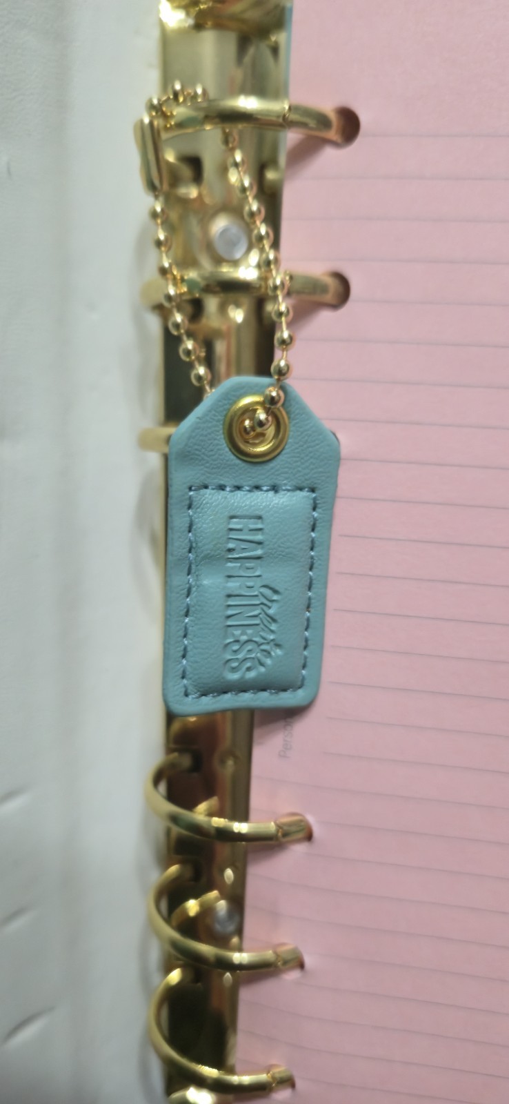 Webster’s Pages Personal Size Planner 6 Ring Binder Organizer. Turquoise. *flaw*