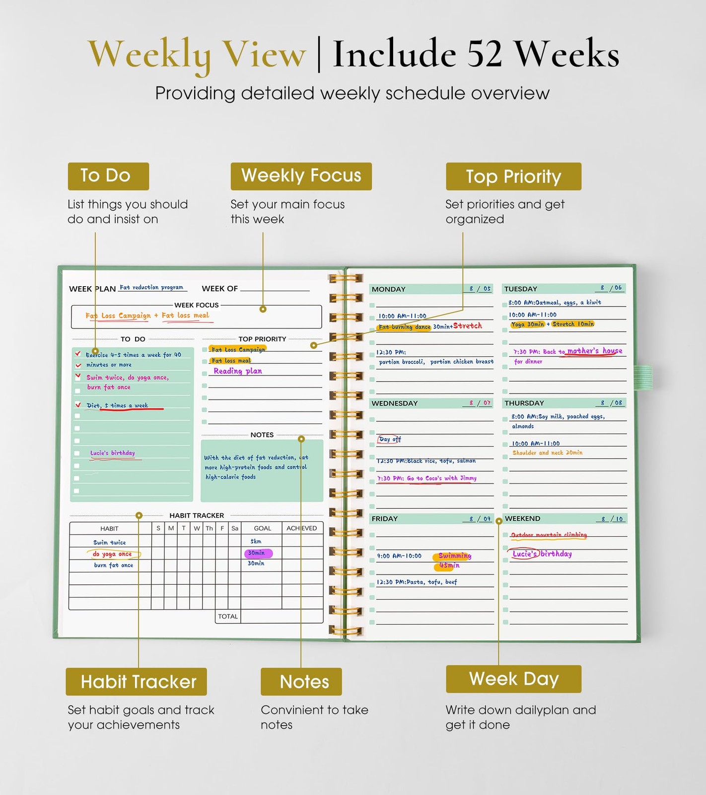 Undated Weekly and Monthly Planner, B5 Large To Do List B5, Green