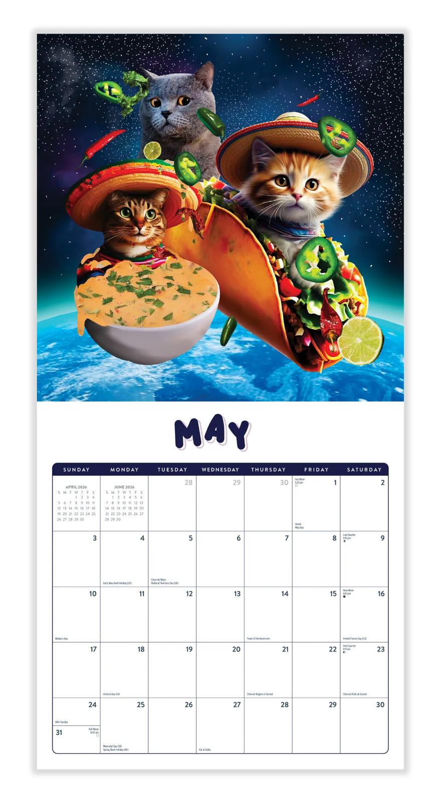 Space Cats Calendar 2026 | 12″ x 24″ 12 Month Calendar | Marble City Press