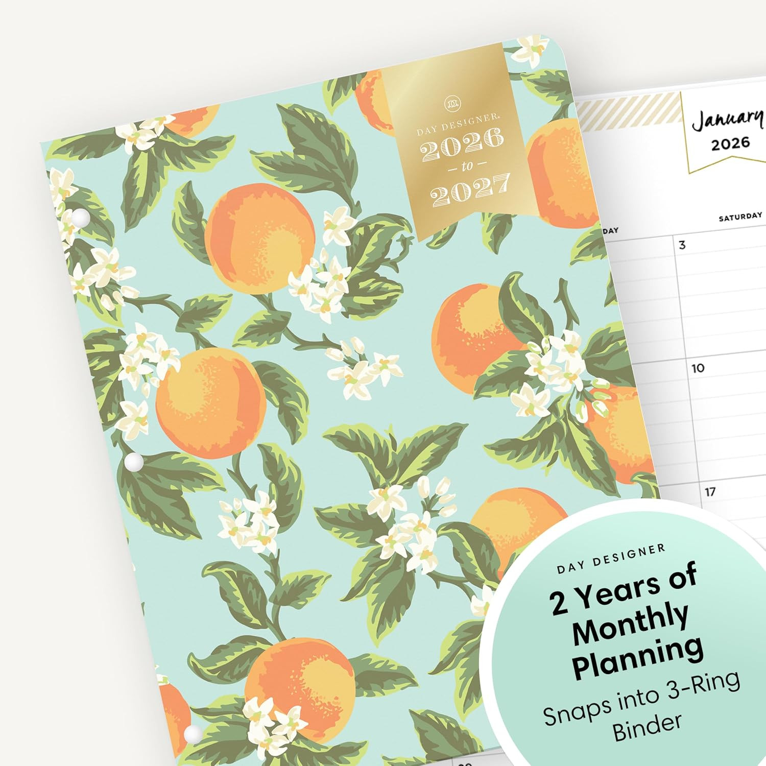 Day Designer 24 Month 2026 Monthly Planner Calendar, January 2026 – December 202