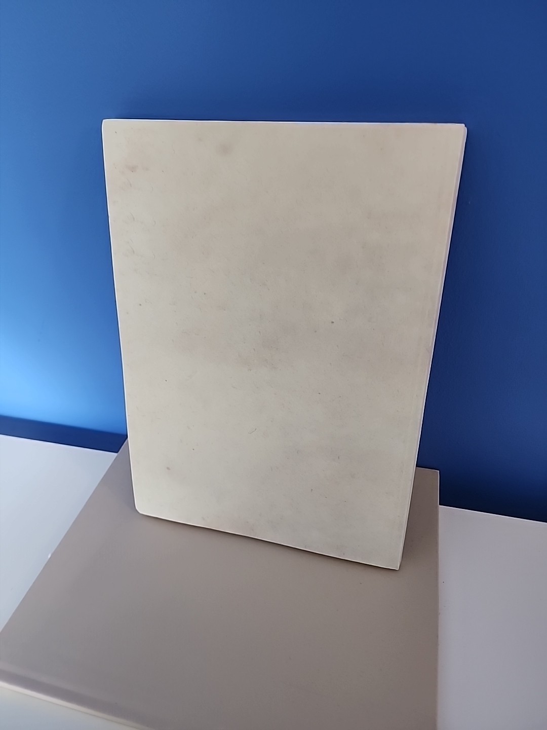 ✨️GUCCI Blank Hardcover Notebook! NEW
