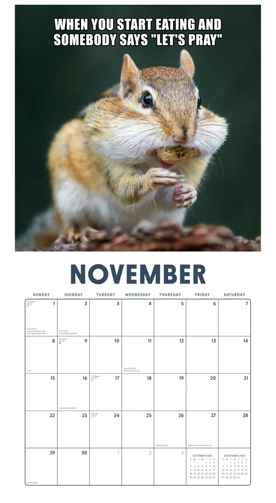 That Meme Life Calendar 2026 | 12″ x 24″ 12 Month Calendar | Marble City Press