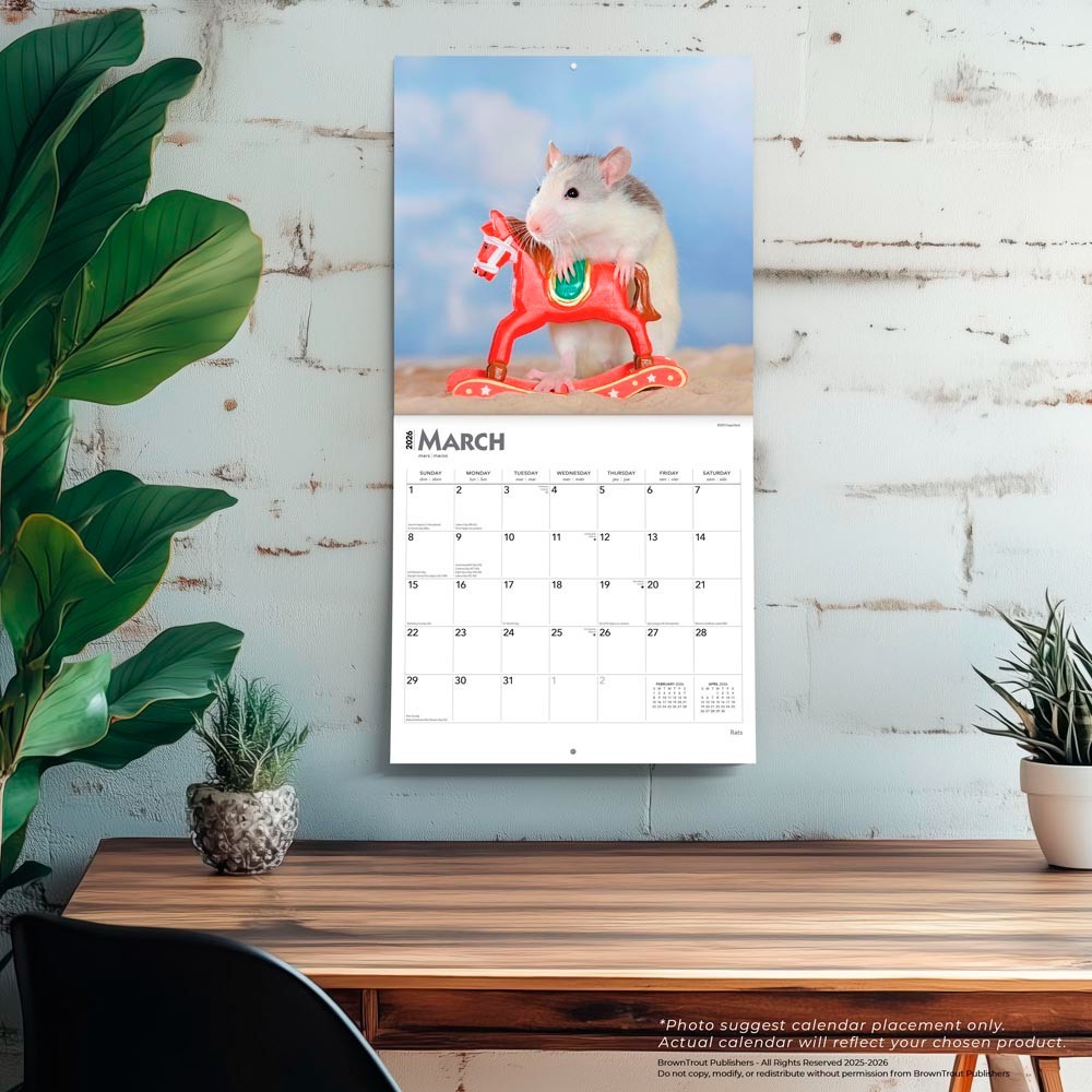 Rats | 2026 12×24″ (Hanging) Monthly Square Wall Calendar | Plastic-Free