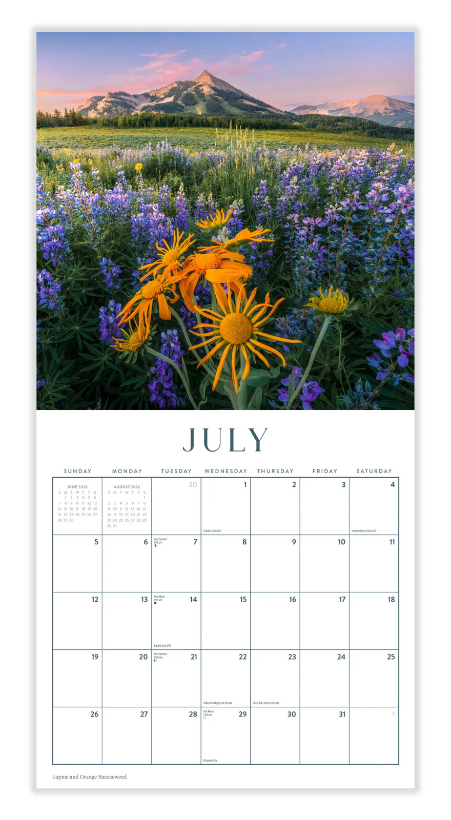 Wildflowers Calendar 2026 | 12″ x 24″ 12 Month Calendar | Marble City Press