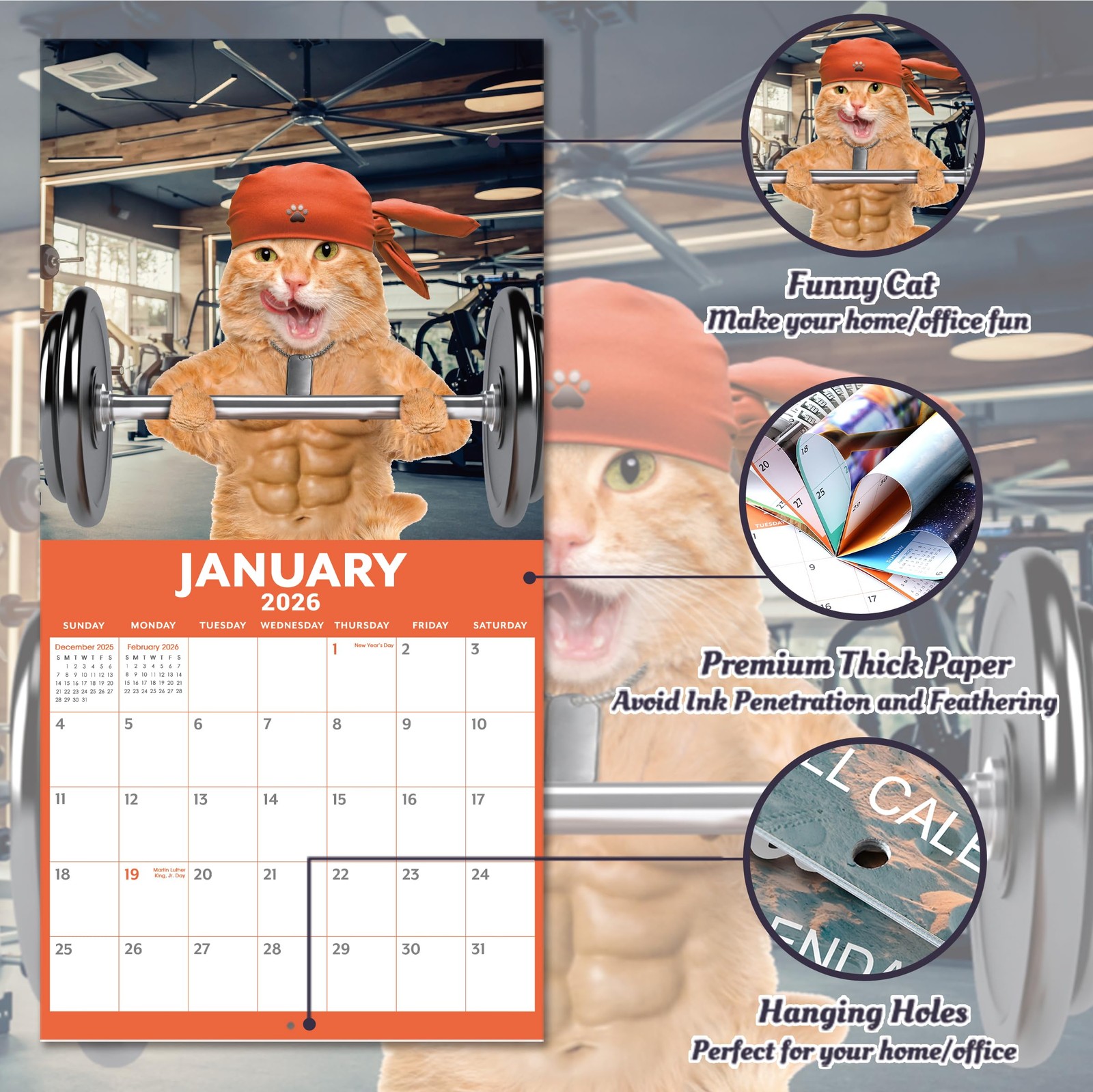 2026 Calendar – 2026 Wall Calendar, Funny Cat 2026, JAN 2026 – DEC…