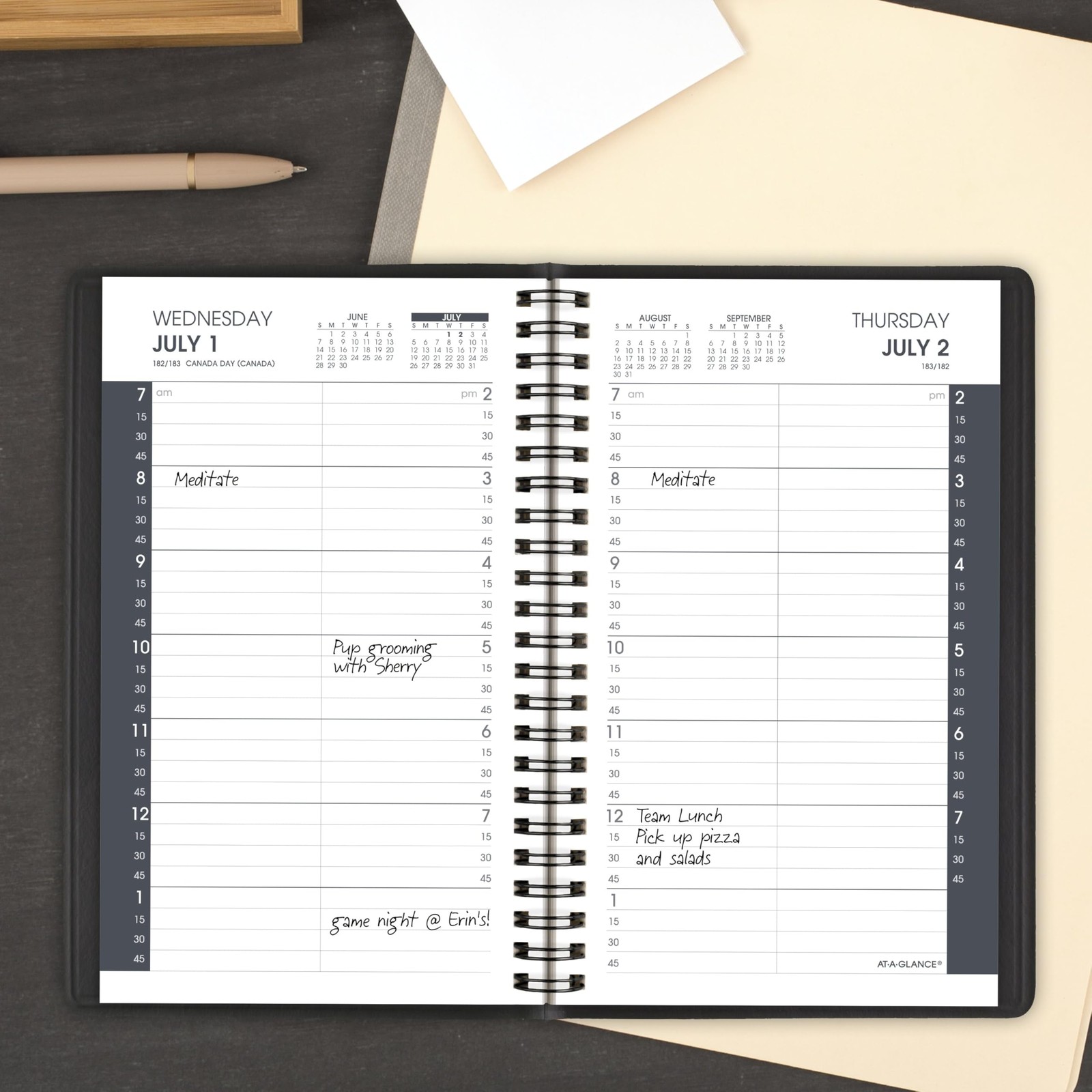 AT-A-GLANCE Planner 2026-2027 Daily Academic 12-Month July-June, Black