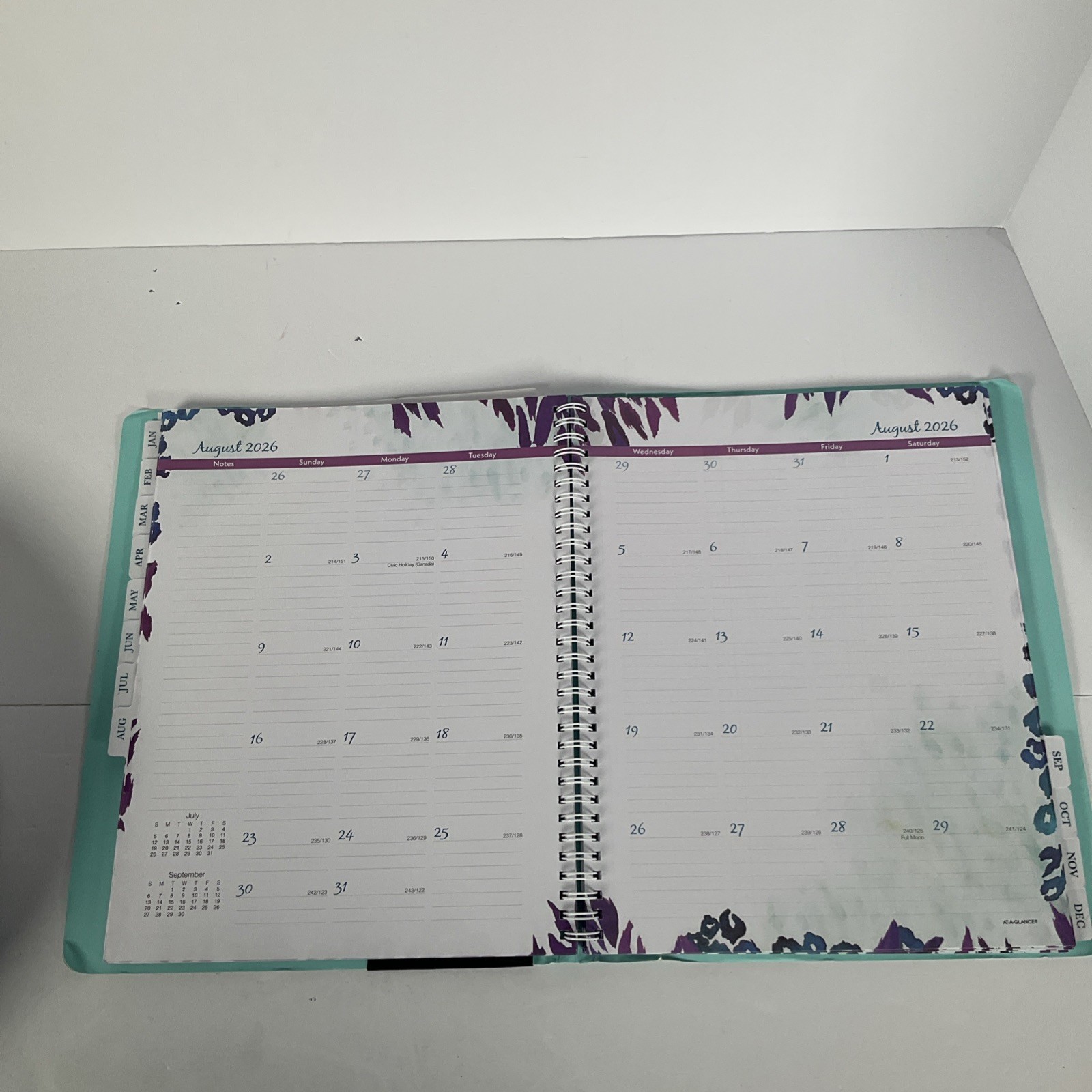 At-A-Glance My Week 2026 Planner Wild Washes Blue 523-905