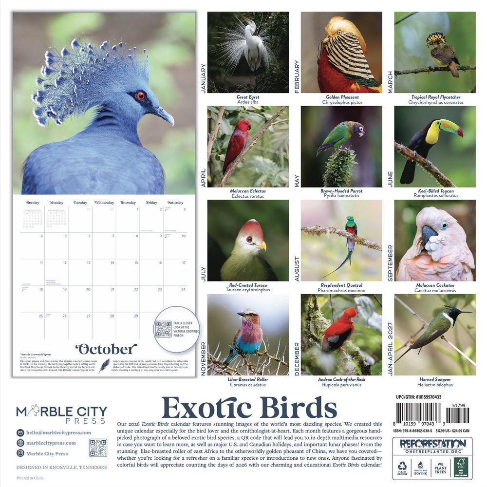 Exotic Birds Calendar 2026 | 12″ x 24″ 12 Month Calendar | Marble City Press