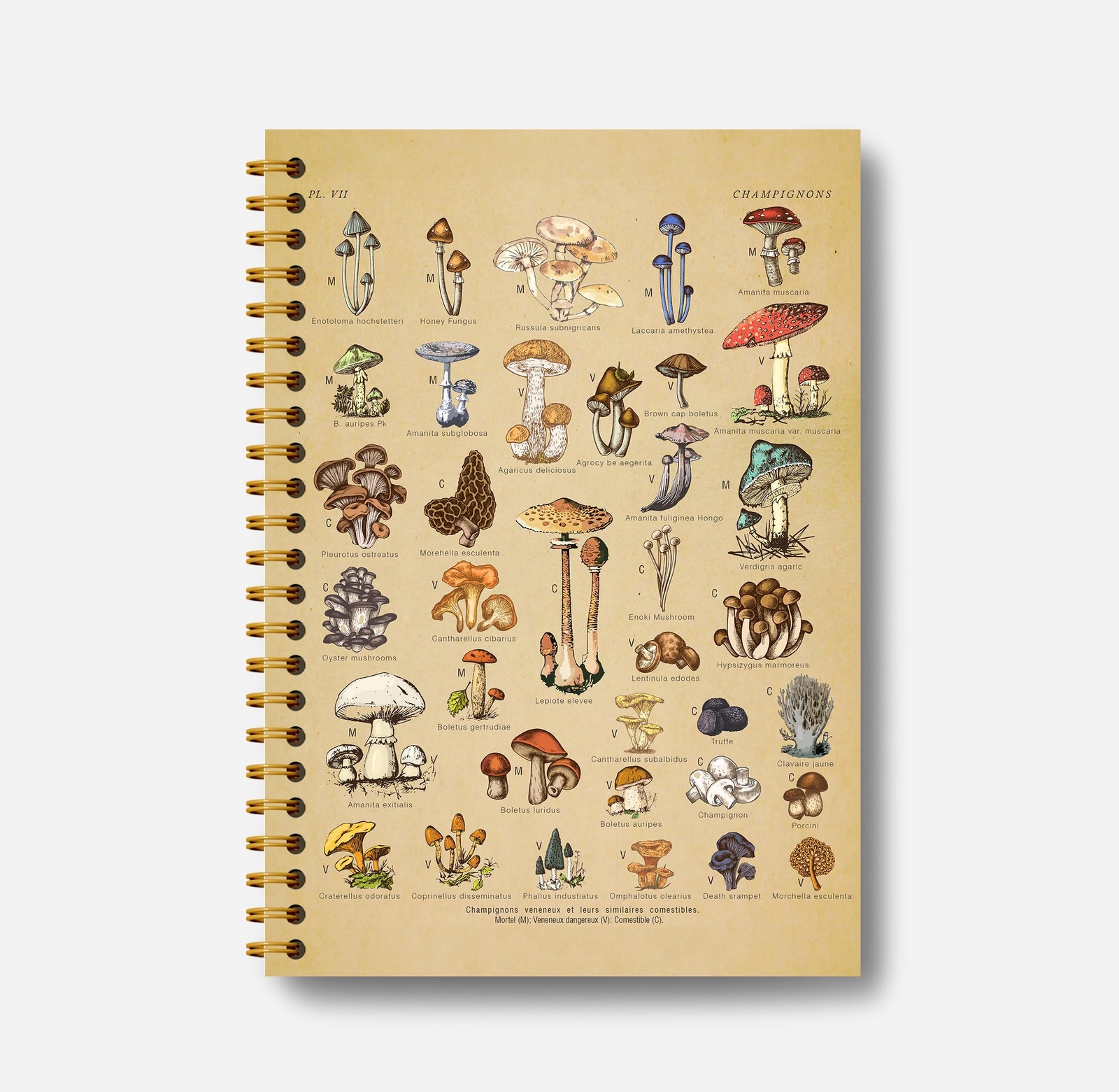 Guymn Vintage Botanical Mushroom Notebook Journal – Cottagecore Mushroom-2