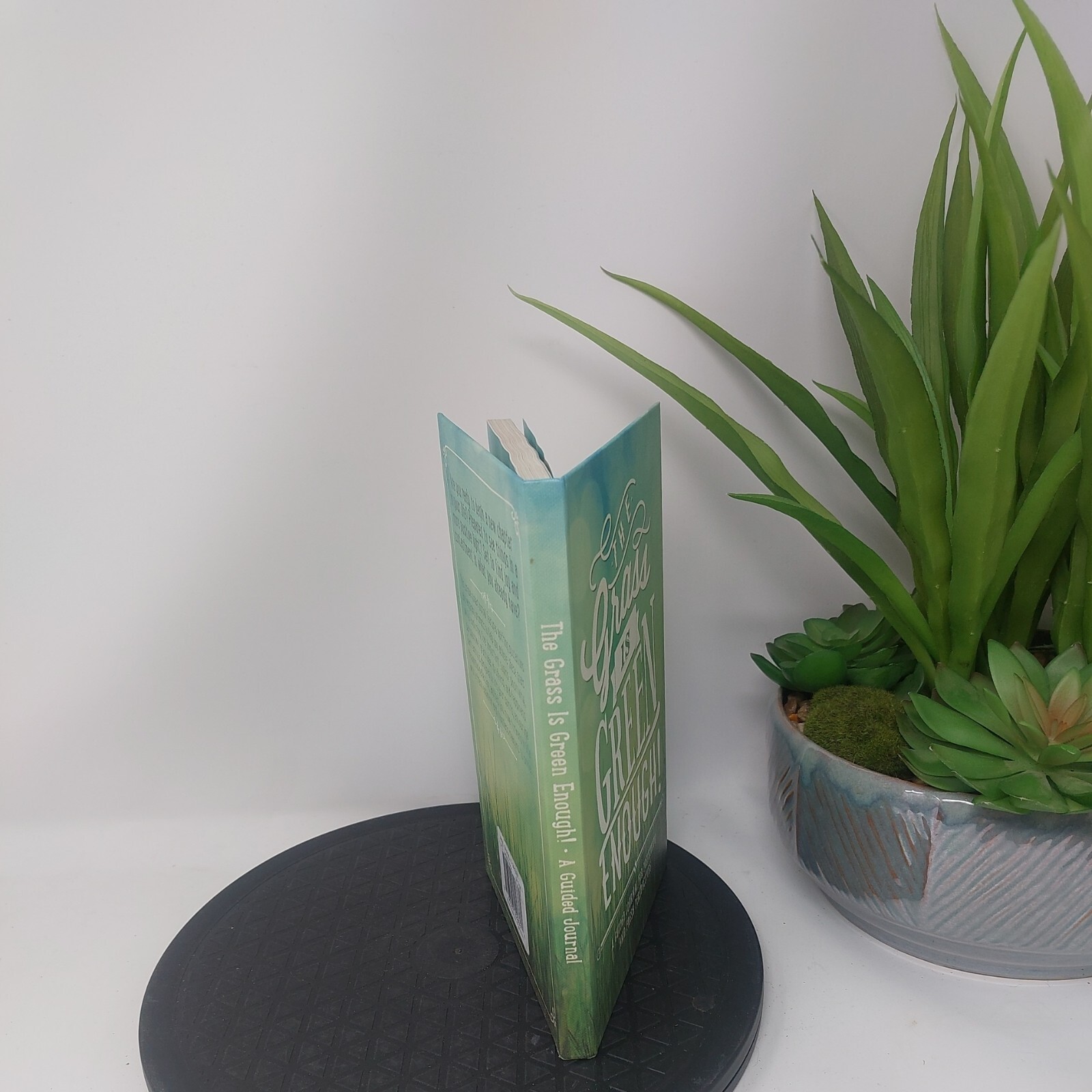 Guided Positivity Journal by 5 inches X 8 inch The Grass is Green Enough UNUSED
