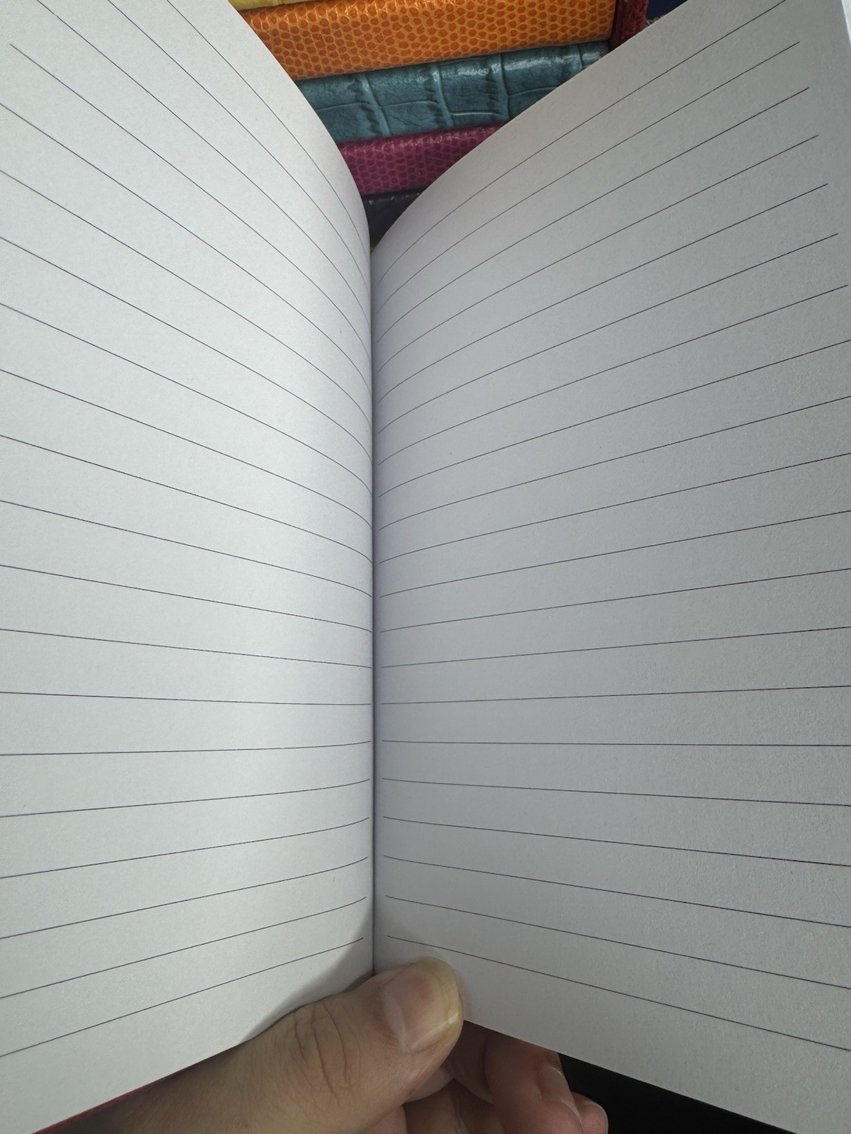 Pottery Barn Leather Multicolored Monthly 12 Journal Books