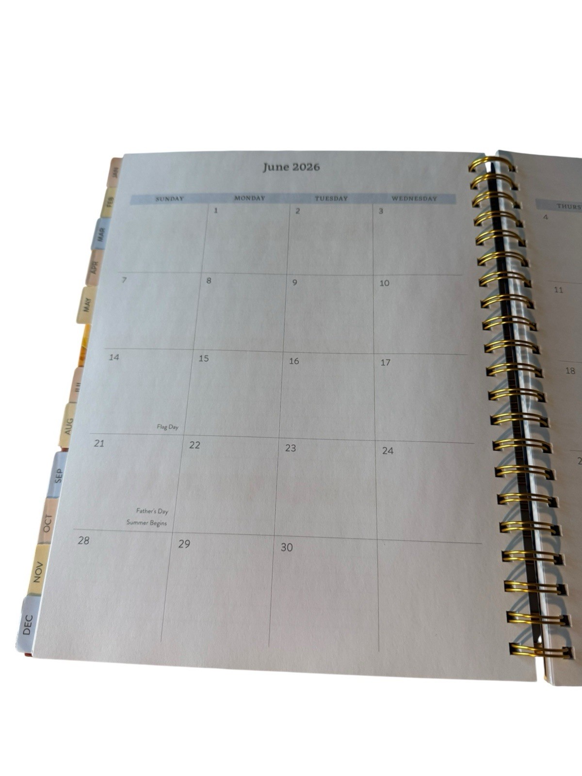 New Designer Papers Ultimate Planner 11 X 8.5 Peacock Colorful Tab Dividers
