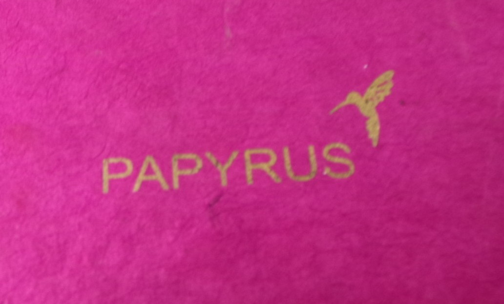 Papyrus Handmade Nepal Lokta Paper Journal Notebook NEW Boxed Gift