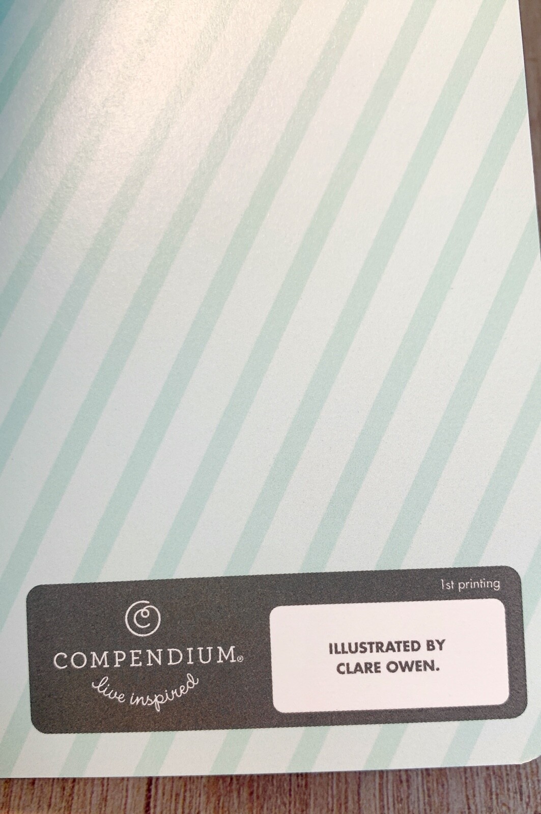 Write Now Journal by Compendium Softcover 128 Lined Pages Quotations Full Color