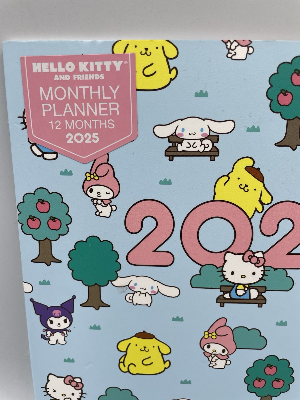 New Sanrio Hello Kitty & Friends 2025 12 Month Planner With Elastic Band