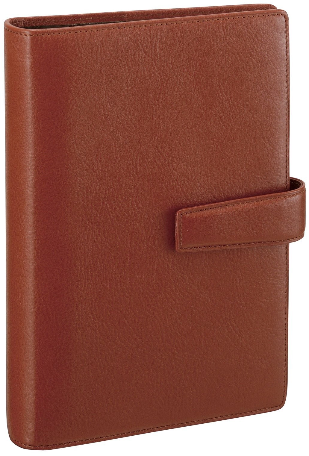 Raymay Fujii Davinci Standard System Planner, Bible Edition, Brown DB3005C