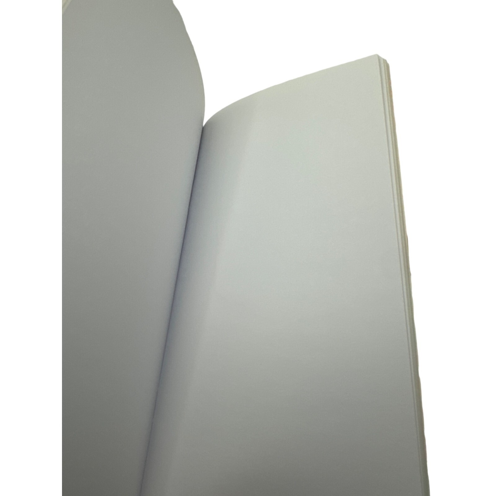 Recollections Travelers Notebook Refills 1 Dot Grid 1 Plain Paper