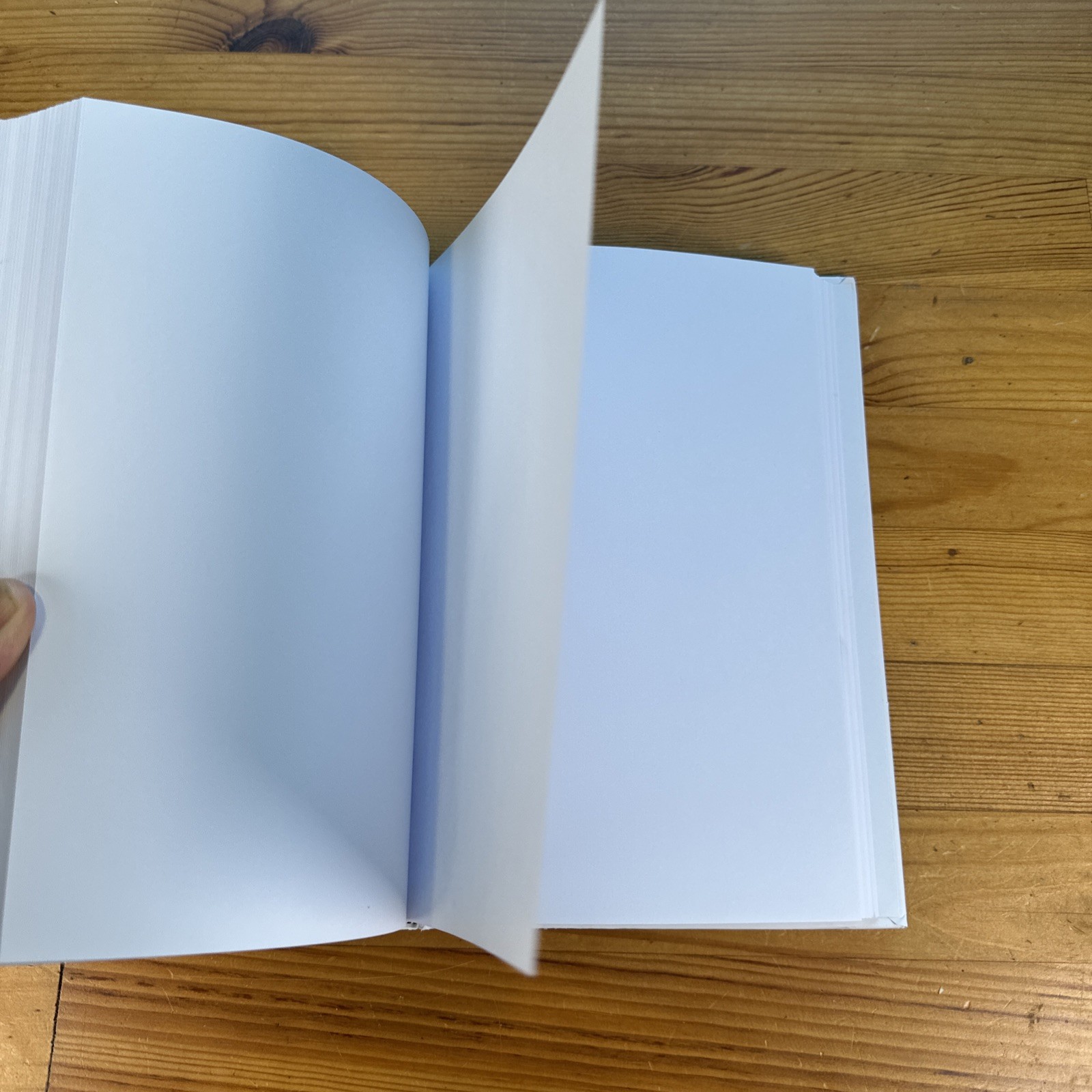 Lot Of Two New Journals London & Paris 9.5” X 6.5” Blank Unlined Pages Hardcover