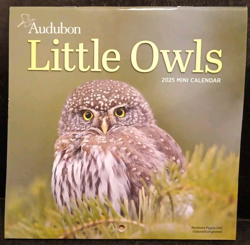 LITTLE OWLS Audibon 2025 7″ x 7″ Mini Wall Calendar (New & Sealed)