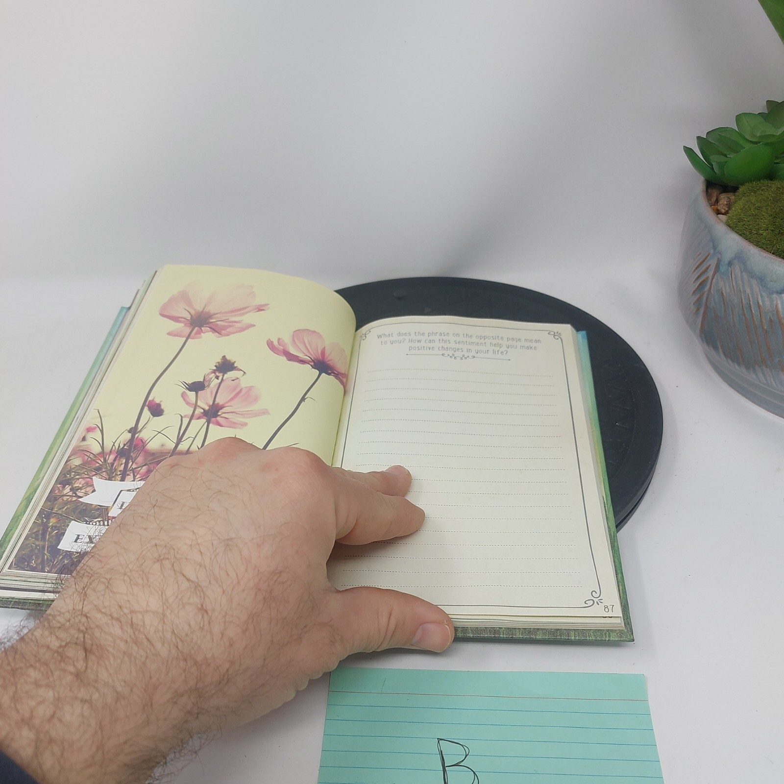 Guided Positivity Journal by 5 inches X 8 inch The Grass is Green Enough UNUSED