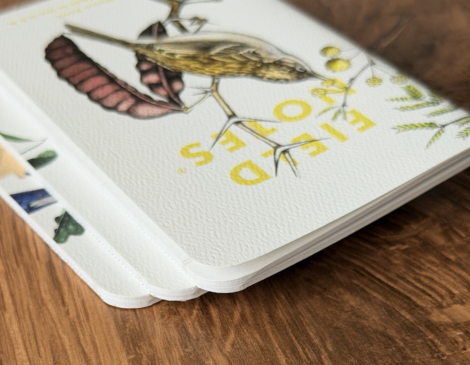 Field Notes Rex Brasher Bird Edition Set of 3 Memo Books Pocket Notebook