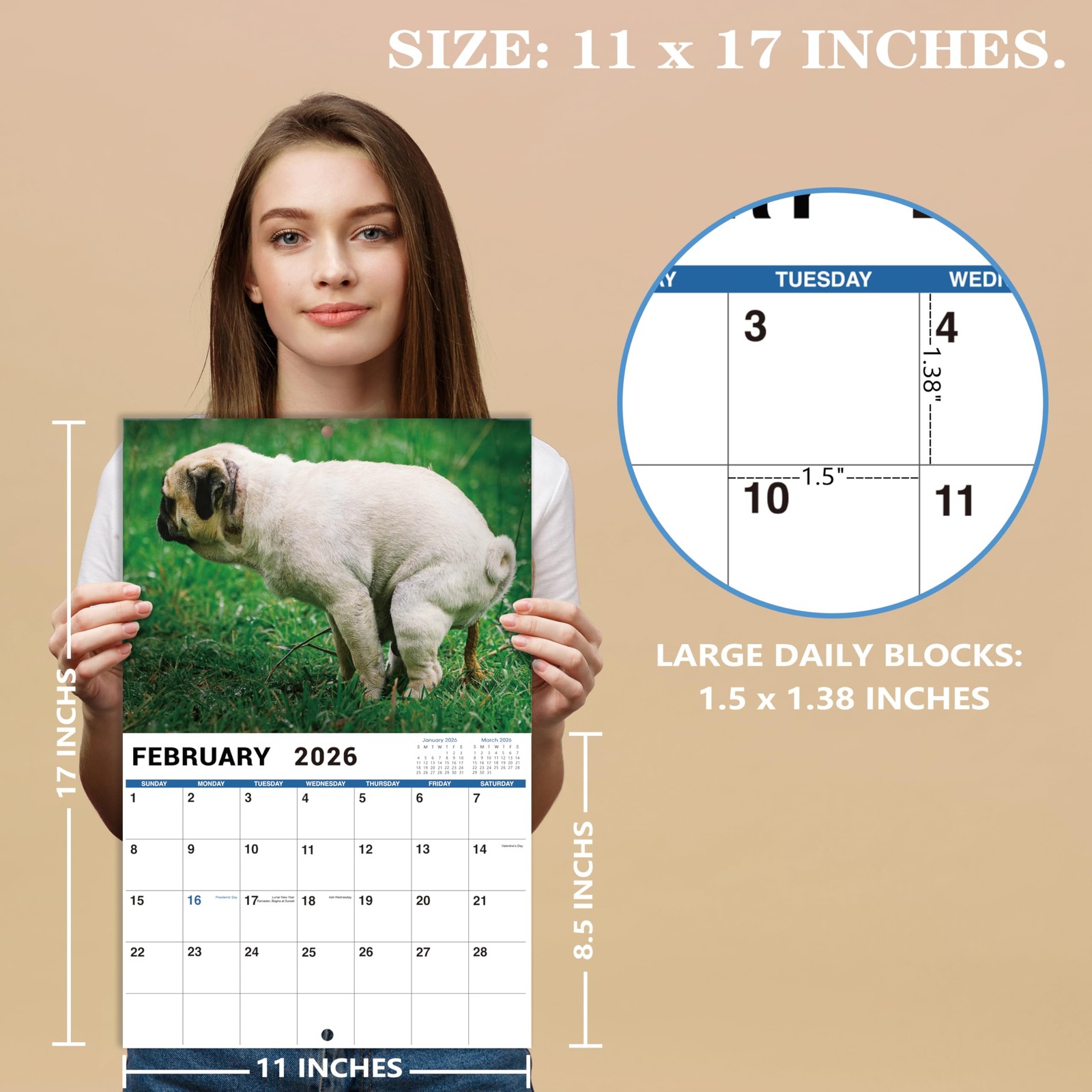 2026 Funny Calendar – Gag Gifts, Dogs Pooping Calendar 2026, 11″ x 17″ (Open), J