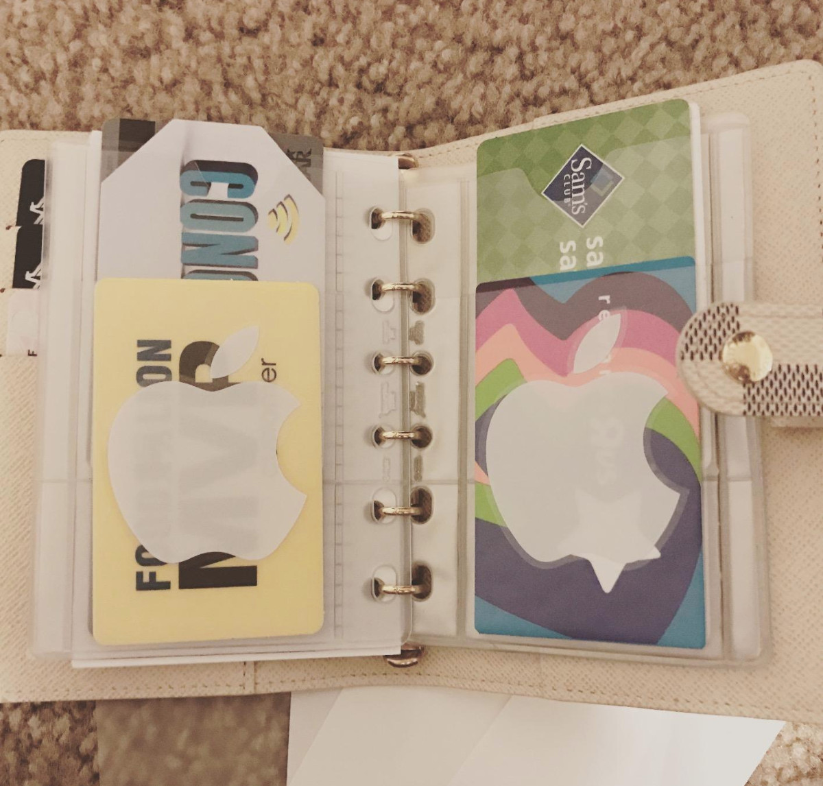 storage cc pouch fits Louis Vuitton PM Small Agenda Organizer +Paper+ Pen Insert