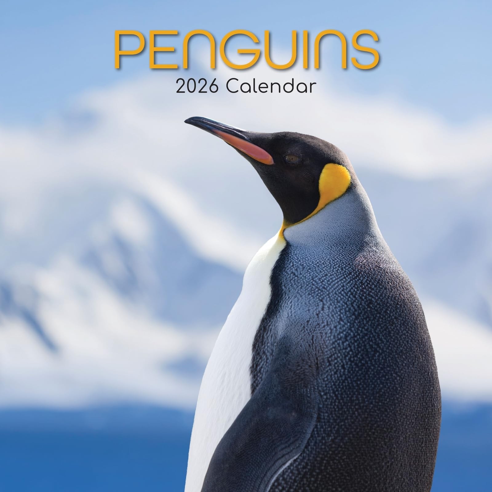 The Gifted Stationery 2026 Square Wall Calendar, Penguins 16-Month Animals…