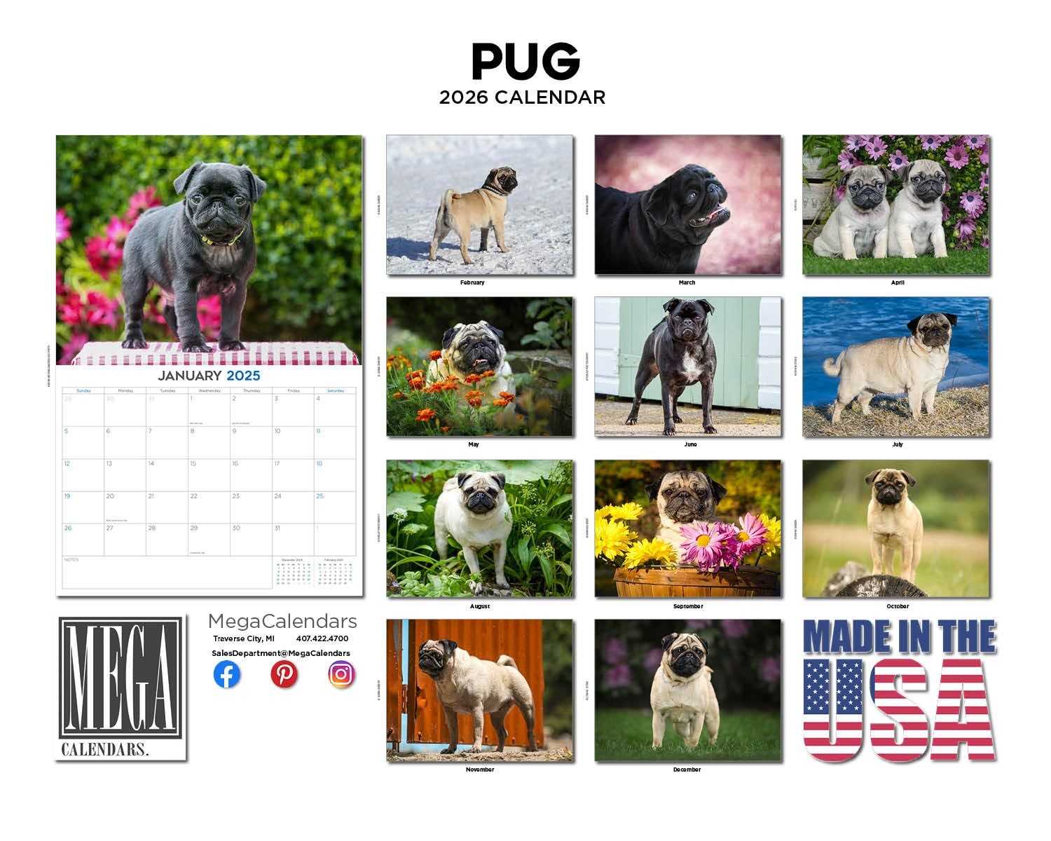 2025 2026 Pug Calendar – Dog Breed Monthly Wall – 12″ x 9″,