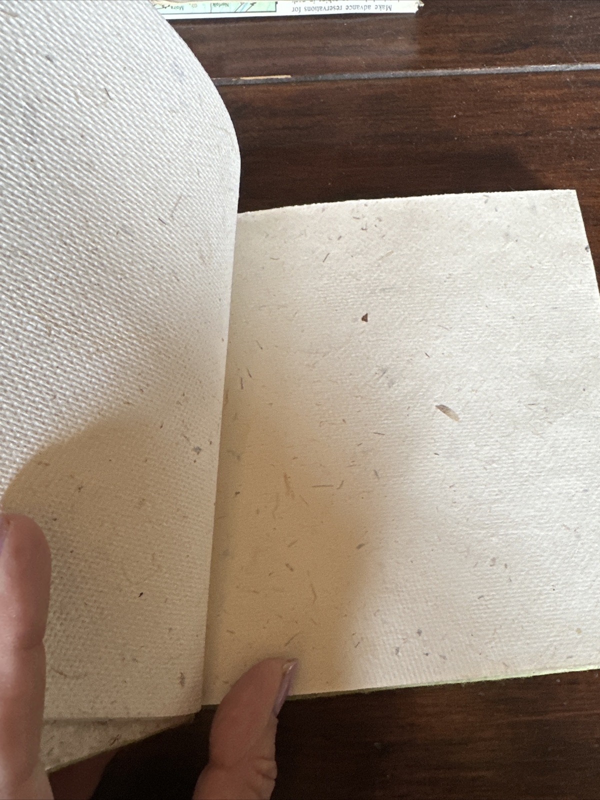 Elephant PooPoo Paper Park Journal 6.75” x 6.75 Handmade Recycle Organic Read