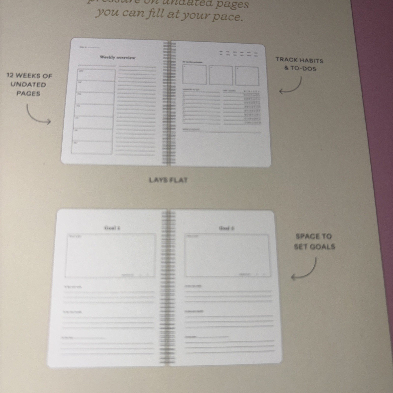 Papier Productivity Planner 12 Weeks Undated of Daily Pages New