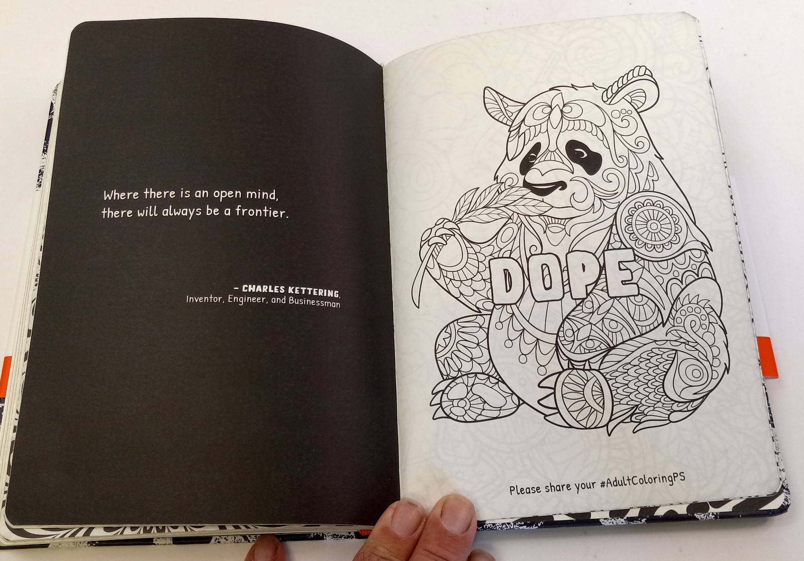 Creative Thinking Journal: Please Use this Journal While High Pilgrim Soul Blank