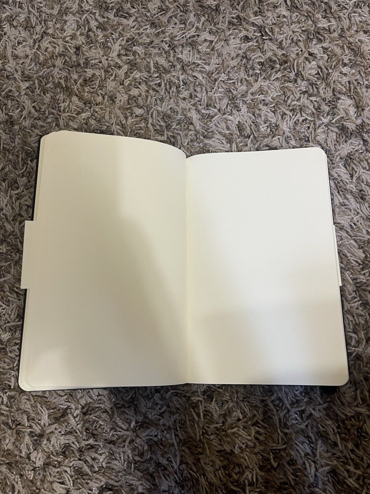 NEW Moleskine Legendary Notebook Special Edition 5X8.25” Black / Plain Pages BNS