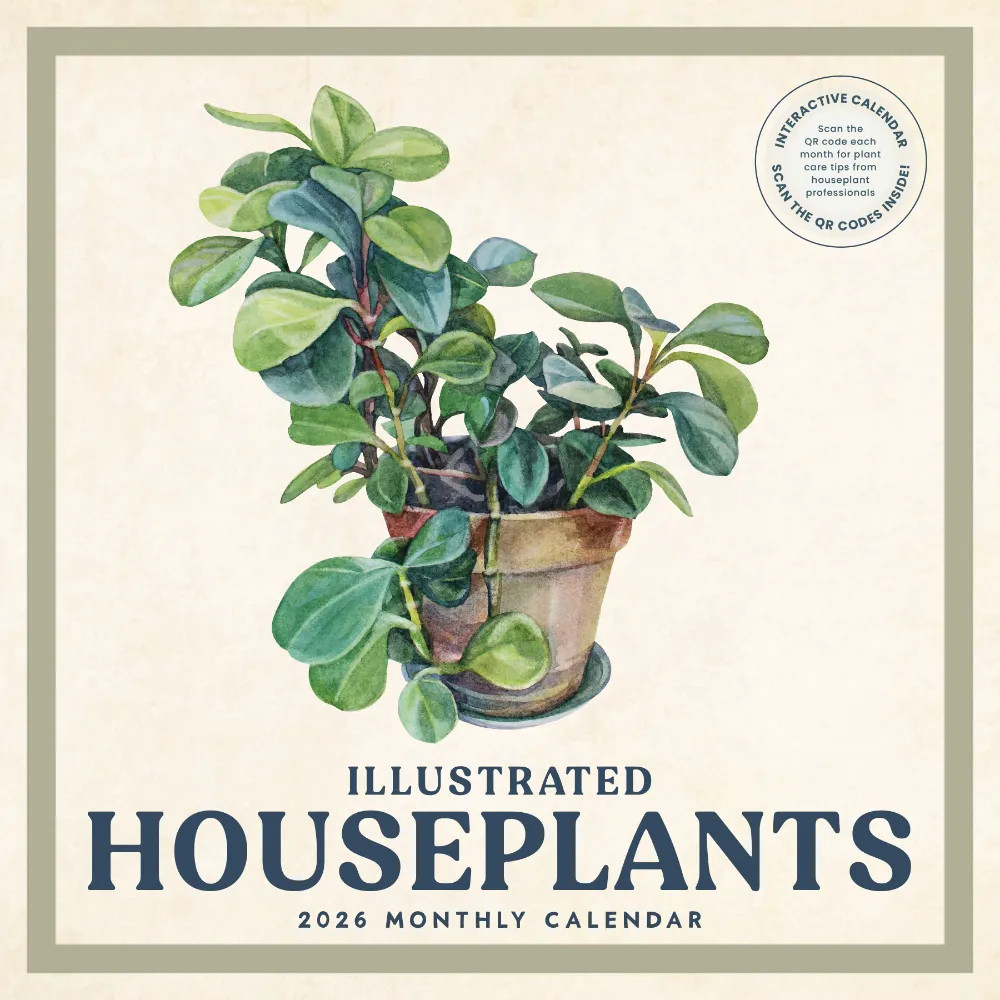 Houseplants Calendar 2026 | 12″ x 24″ 12 Month Calendar | Marble City Press