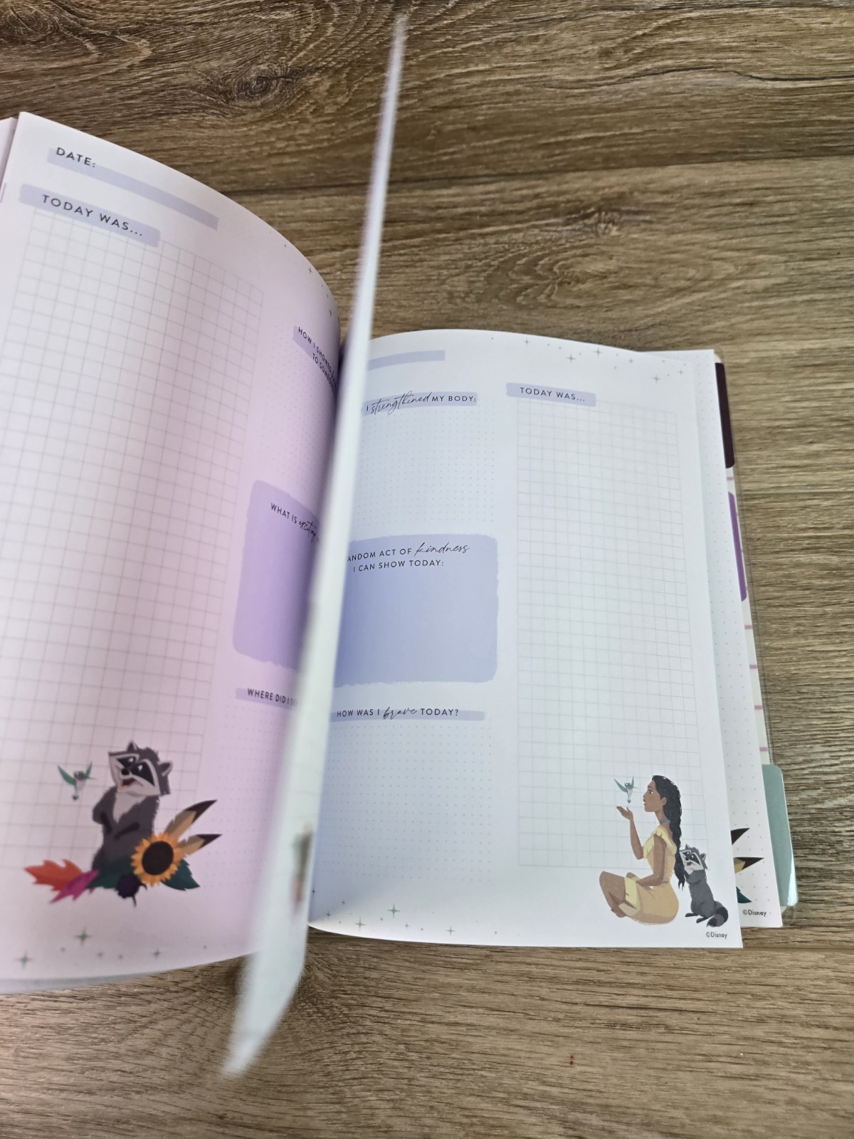 Happy Planner Haul Mix Lot. Disney Binder, 80+ Mics Calander Stickers. Get Fit