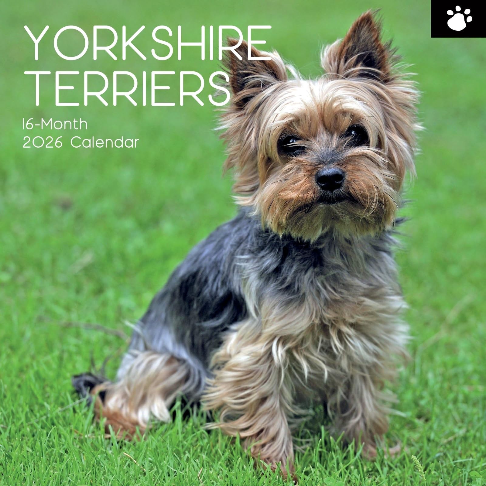 The Gifted Stationery Square Wall Calendar – Yorkshire Terrier Design & 2026…