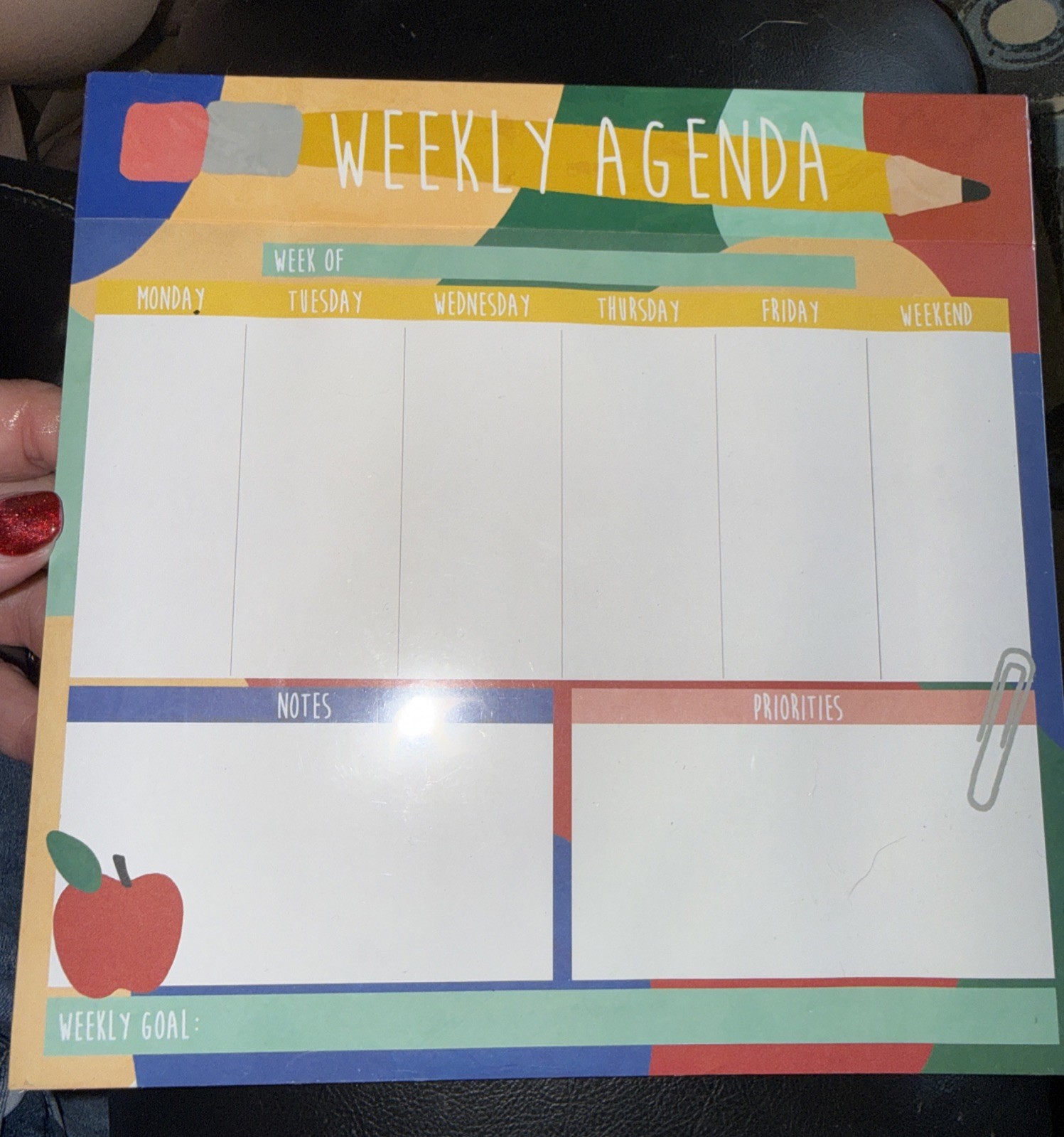 Molly & Rex~Punch Studio~ Weekly Planner Notepad~80 Sheets~Size 8″ x 8″~Undated