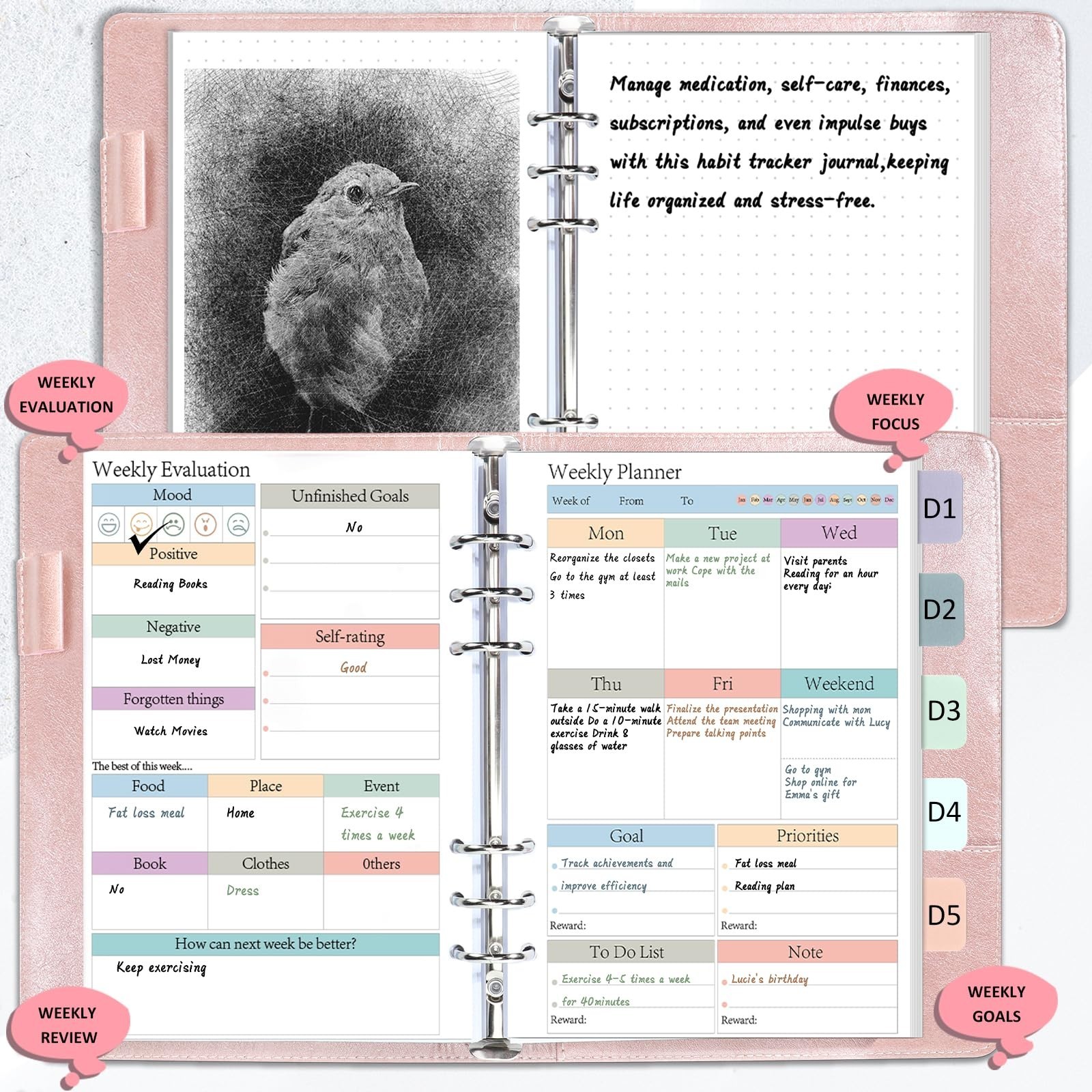 A5 Planner Refill Pages – 480 Sheets Daily Weekly Monthly Inserts, 120 GSM, Colo