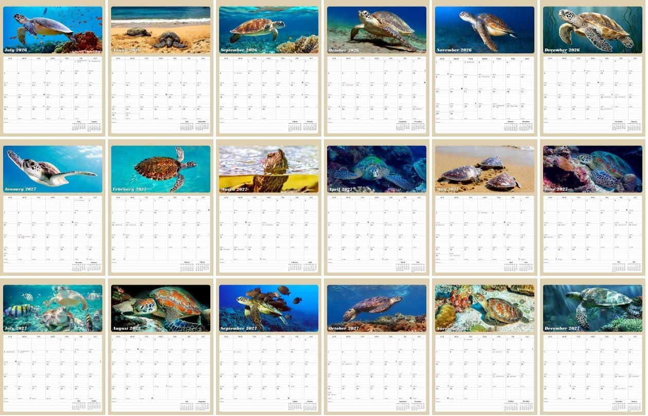 2026-2027 Wall Calendar Spiral-bound Twin-Wire Binding – 18 Months multicolor