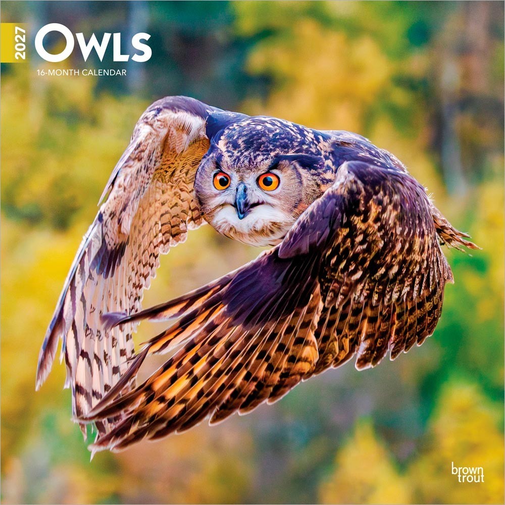 Owls | 2027 12×24″ (Hanging) Monthly Square Wall Calendar | Plastic-Free