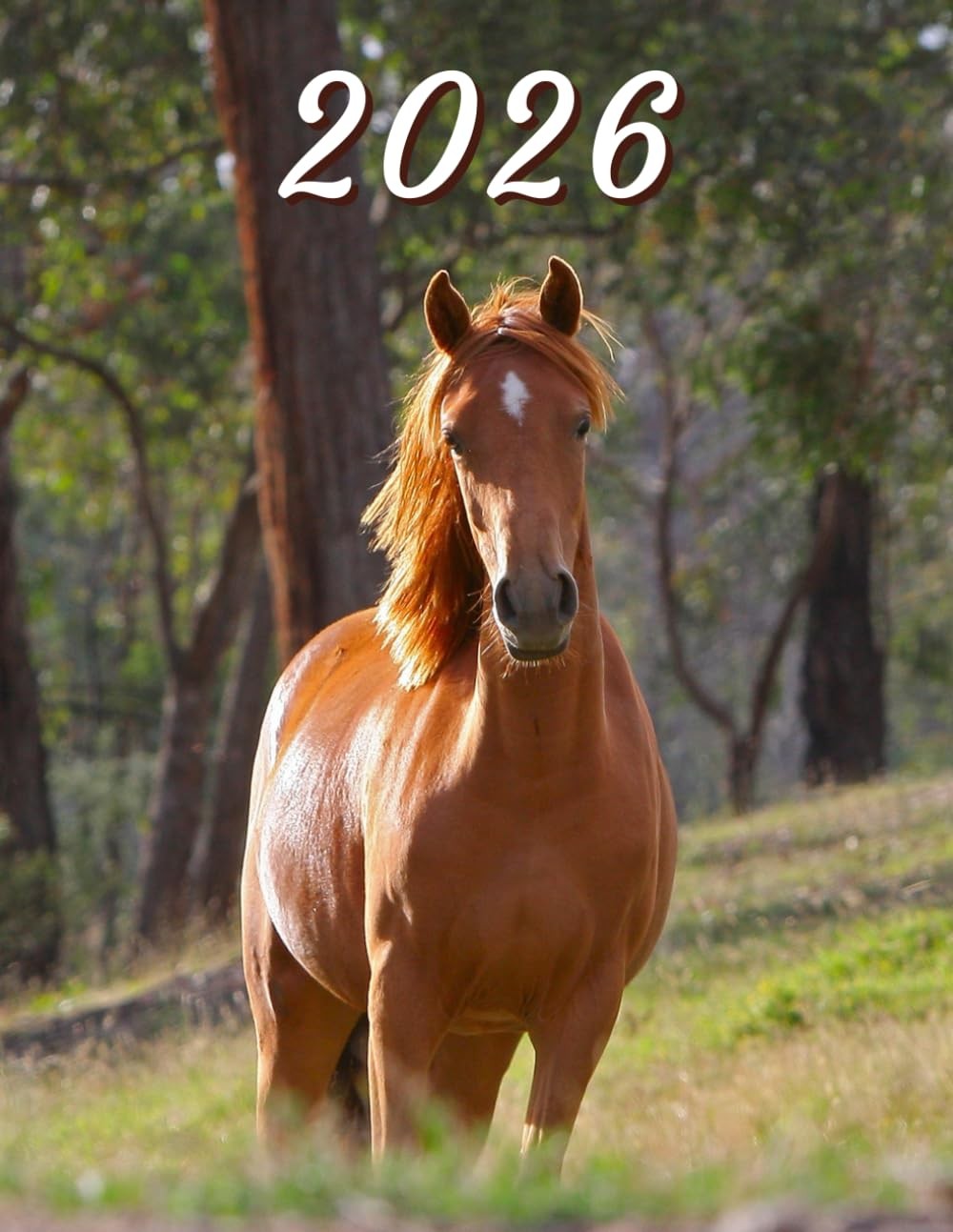 2026: Large Monthly Calendar Planner – Brown Horse