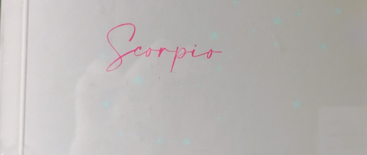 Gartner Studios Scorpio Astrology Casebound Flex Journal Set 5.75×8.125 96 Sheet