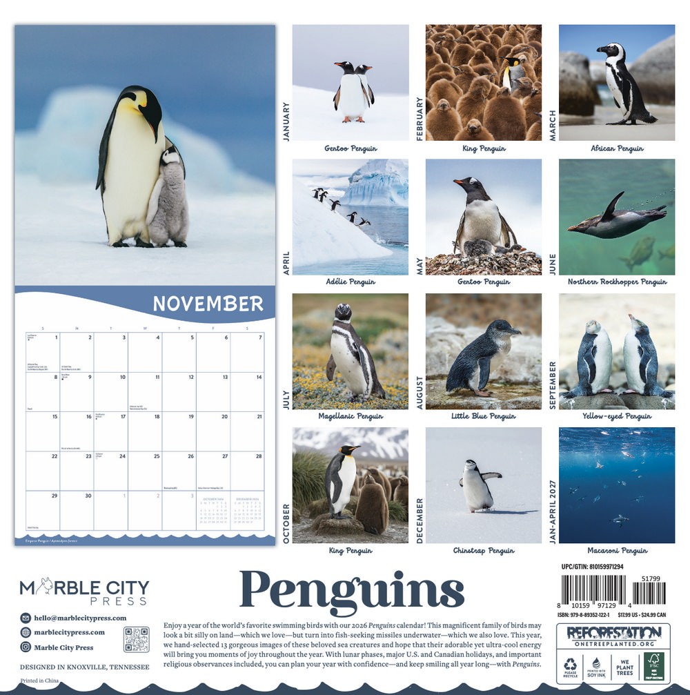 Penguins 2026 | 12″ x 24″ Cute Penguins Calendar 12 Month | Marble City Press